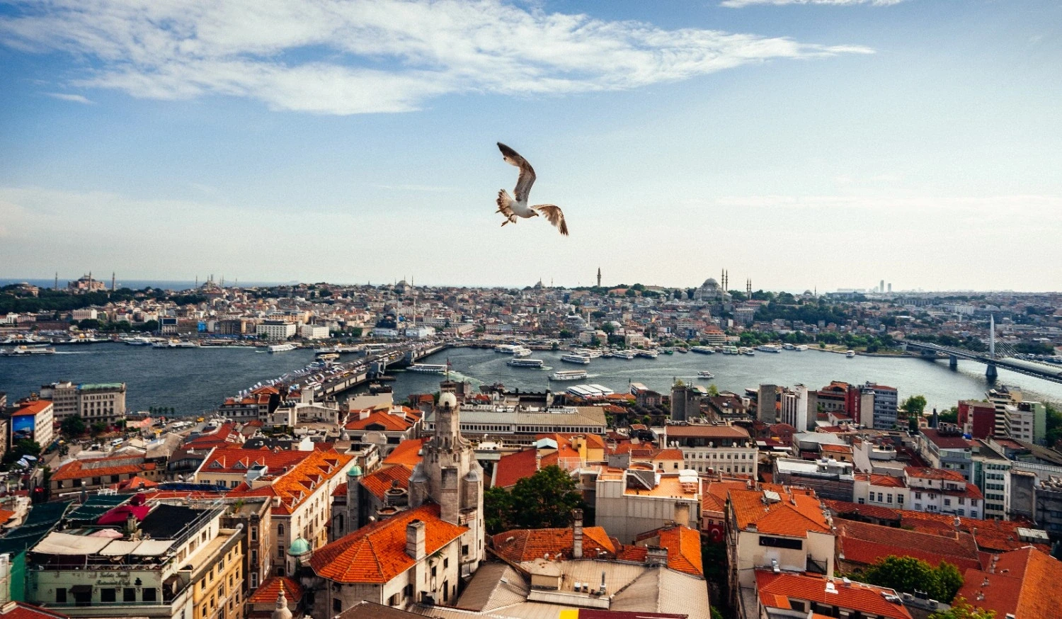 İstanbul Mobil Uygulama Şirketleri: Çözüm Odaklı